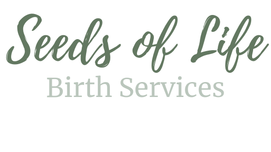 Easton PA Doula | Seeds of Life Birth Services